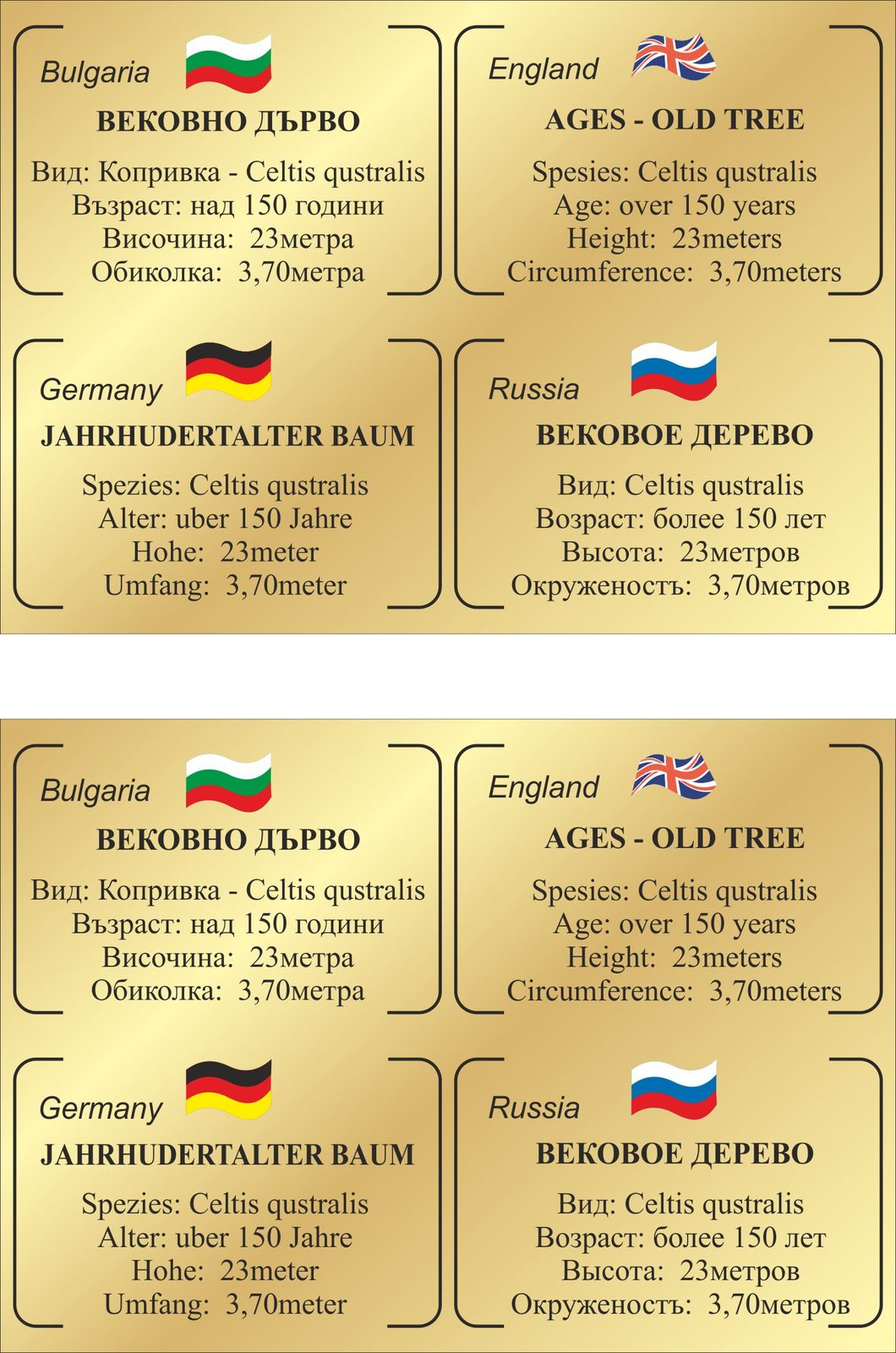 Външна реклама — реализация 37